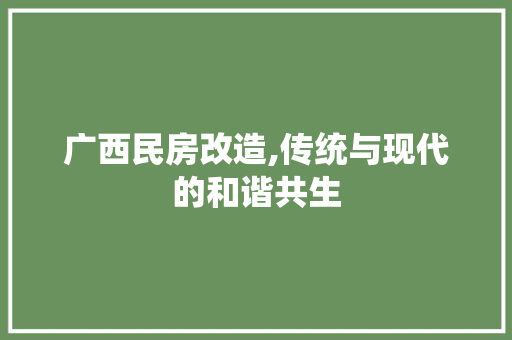 广西民房改造,传统与现代的和谐共生