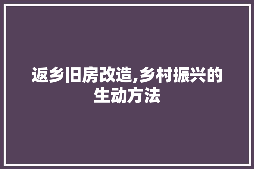 返乡旧房改造,乡村振兴的生动方法