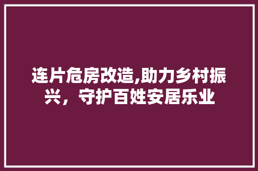连片危房改造,助力乡村振兴，守护百姓安居乐业