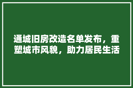 通城旧房改造名单发布，重塑城市风貌，助力居民生活品质提升