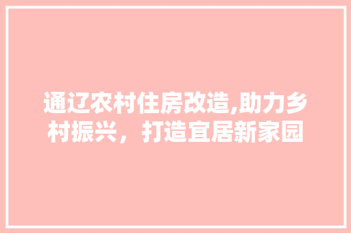通辽农村住房改造,助力乡村振兴，打造宜居新家园