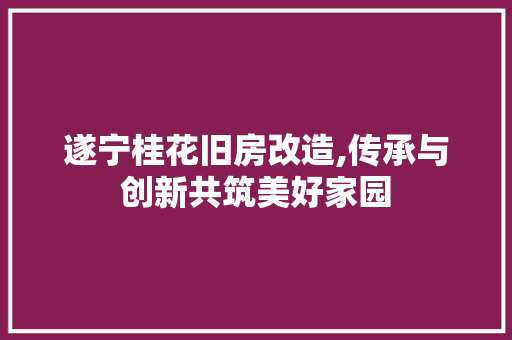 遂宁桂花旧房改造,传承与创新共筑美好家园