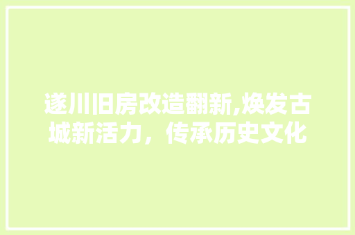 遂川旧房改造翻新,焕发古城新活力，传承历史文化