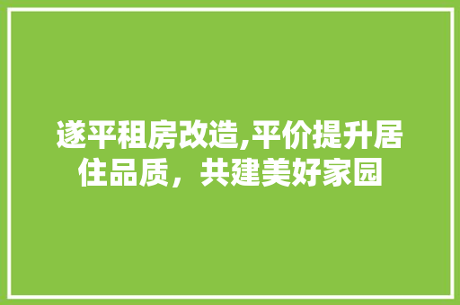 遂平租房改造,平价提升居住品质，共建美好家园