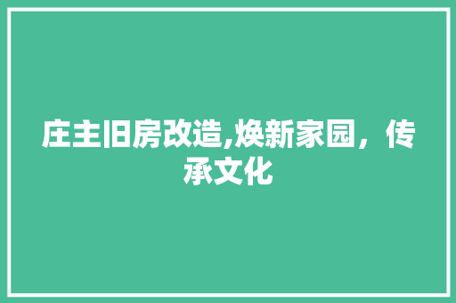 庄主旧房改造,焕新家园，传承文化