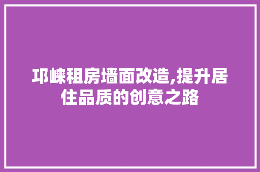 邛崃租房墙面改造,提升居住品质的创意之路