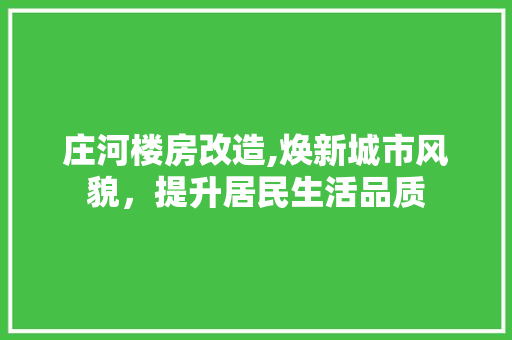 庄河楼房改造,焕新城市风貌，提升居民生活品质