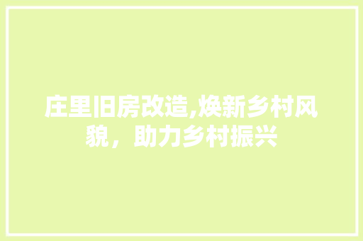 庄里旧房改造,焕新乡村风貌，助力乡村振兴