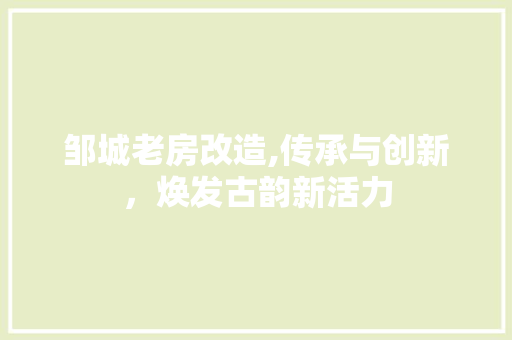 邹城老房改造,传承与创新，焕发古韵新活力