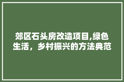 郊区石头房改造项目,绿色生活，乡村振兴的方法典范