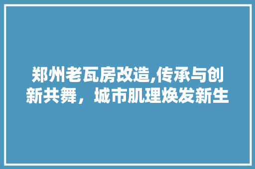 郑州老瓦房改造,传承与创新共舞，城市肌理焕发新生