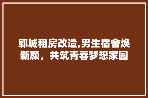 郓城租房改造,男生宿舍焕新颜，共筑青春梦想家园