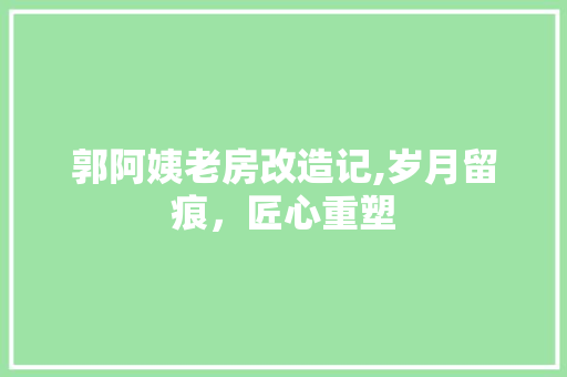 郭阿姨老房改造记,岁月留痕，匠心重塑