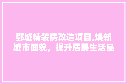 鄄城精装房改造项目,焕新城市面貌，提升居民生活品质