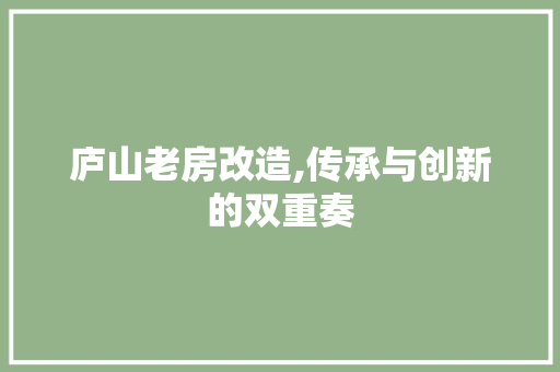 庐山老房改造,传承与创新的双重奏