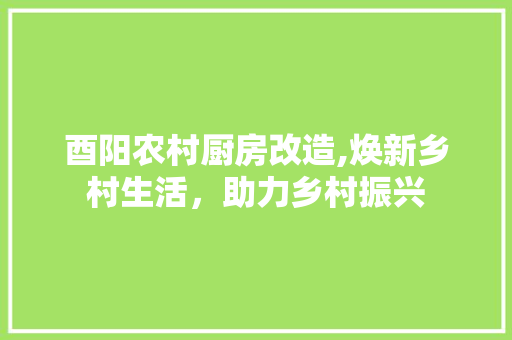酉阳农村厨房改造,焕新乡村生活，助力乡村振兴