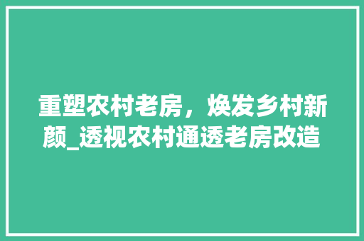 重塑农村老房，焕发乡村新颜_透视农村通透老房改造之路