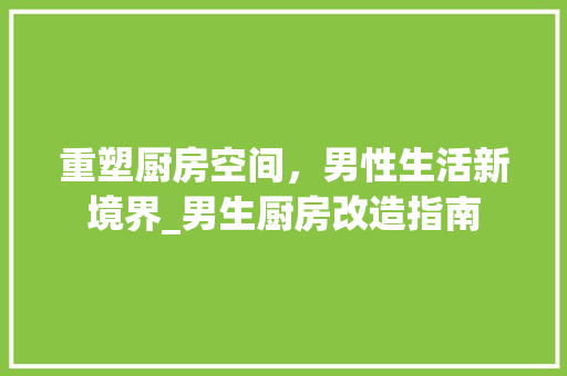 重塑厨房空间，男性生活新境界_男生厨房改造指南
