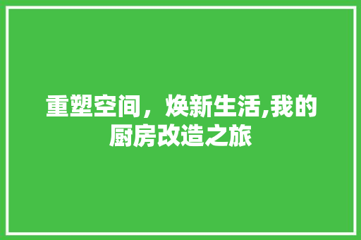 重塑空间，焕新生活,我的厨房改造之旅