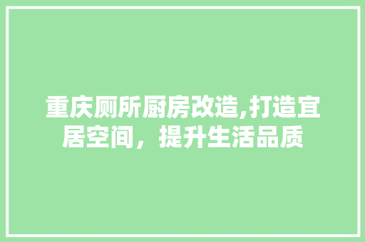 重庆厕所厨房改造,打造宜居空间，提升生活品质