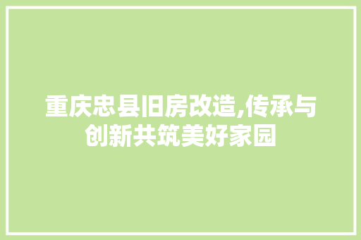 重庆忠县旧房改造,传承与创新共筑美好家园