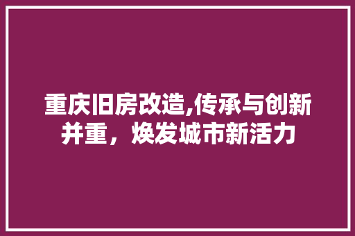 重庆旧房改造,传承与创新并重，焕发城市新活力