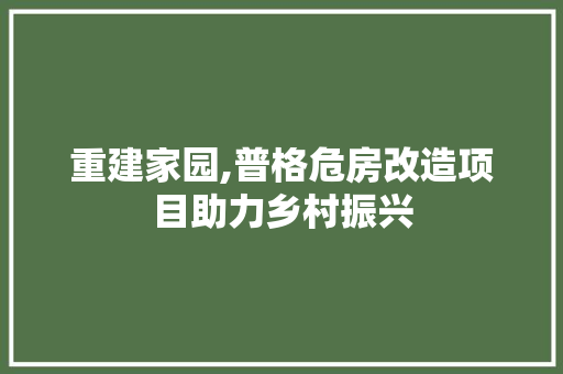 重建家园,普格危房改造项目助力乡村振兴