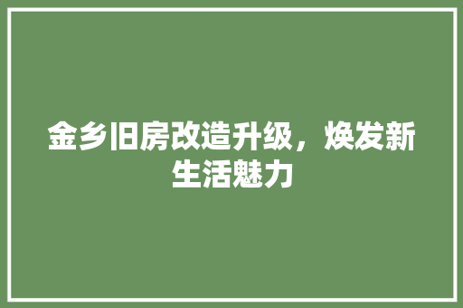 金乡旧房改造升级，焕发新生活魅力