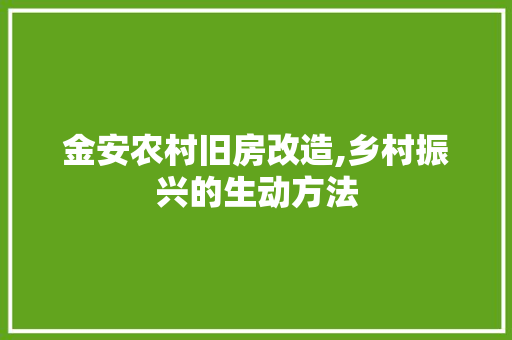 金安农村旧房改造,乡村振兴的生动方法