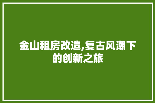 金山租房改造,复古风潮下的创新之旅