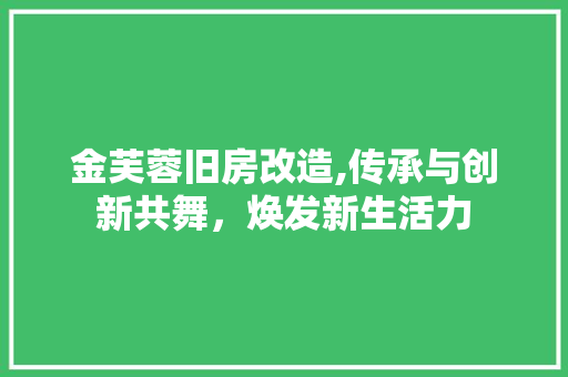 金芙蓉旧房改造,传承与创新共舞，焕发新生活力