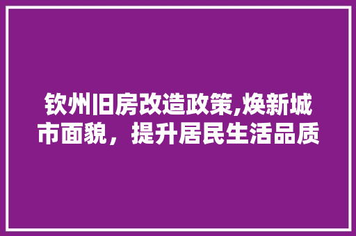 钦州旧房改造政策,焕新城市面貌，提升居民生活品质