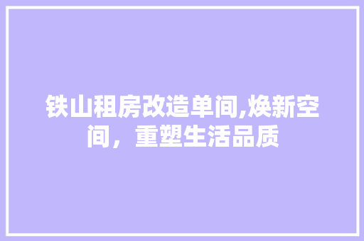 铁山租房改造单间,焕新空间，重塑生活品质