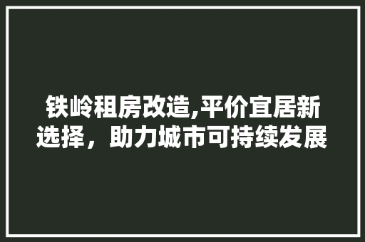 铁岭租房改造,平价宜居新选择，助力城市可持续发展