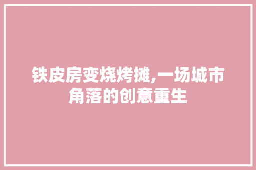 铁皮房变烧烤摊,一场城市角落的创意重生