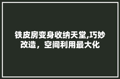 铁皮房变身收纳天堂,巧妙改造，空间利用最大化