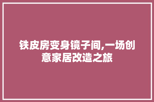 铁皮房变身镜子间,一场创意家居改造之旅