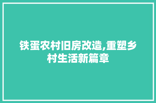 铁蛋农村旧房改造,重塑乡村生活新篇章