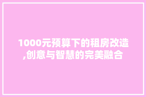 1000元预算下的租房改造,创意与智慧的完美融合