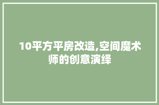 10平方平房改造,空间魔术师的创意演绎
