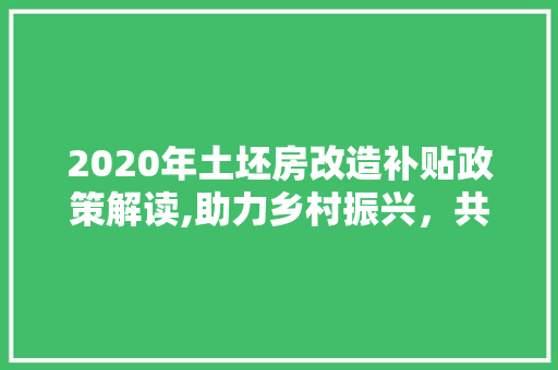 2020年土坯房改造补贴政策解读,助力乡村振兴，共建美好家园
