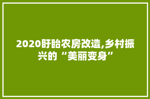 2020盱眙农房改造,乡村振兴的“美丽变身”