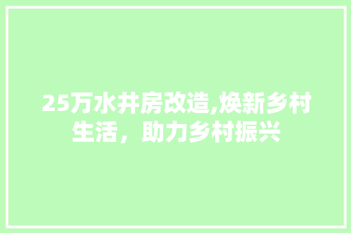25万水井房改造,焕新乡村生活，助力乡村振兴