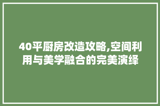 40平厨房改造攻略,空间利用与美学融合的完美演绎