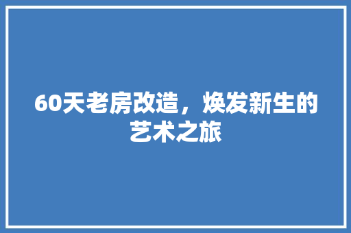 60天老房改造，焕发新生的艺术之旅