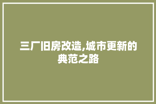 三厂旧房改造,城市更新的典范之路