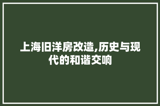上海旧洋房改造,历史与现代的和谐交响