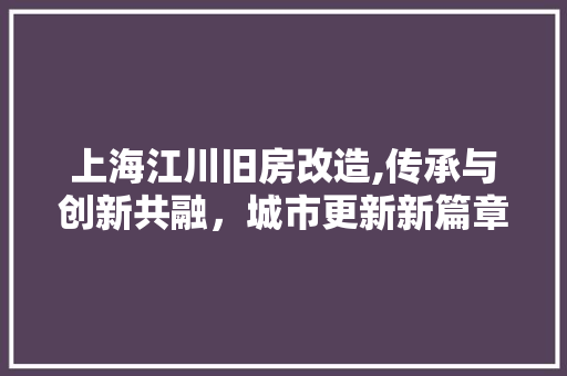 上海江川旧房改造,传承与创新共融，城市更新新篇章