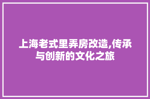 上海老式里弄房改造,传承与创新的文化之旅