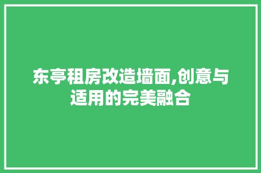 东亭租房改造墙面,创意与适用的完美融合
